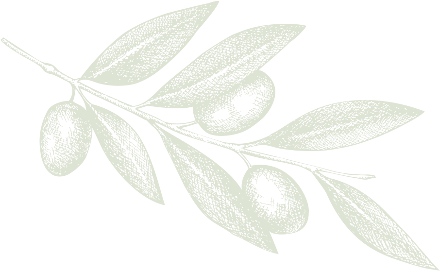 Molino De Olivas De Bolea - Garden Of The Gods [book] (906x558), Png Download