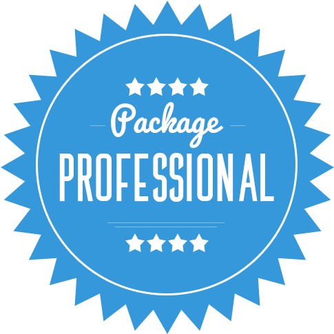 Professional Package $459 - Professional Package (500x500), Png Download
