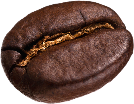 Download Grains De Cafe Png Net Png Image With No Background Pngkey Com