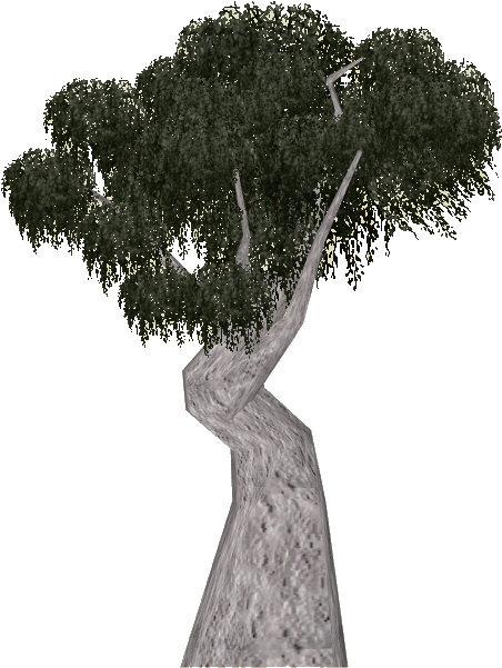 Gum Tree Png - Snow Gum Tree Png (636x636), Png Download