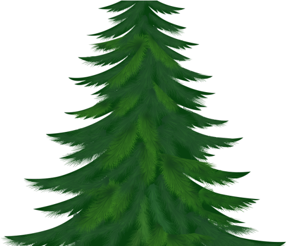 Pine Clipart Snow Tree - Fir Trees Clip Art (640x480), Png Download