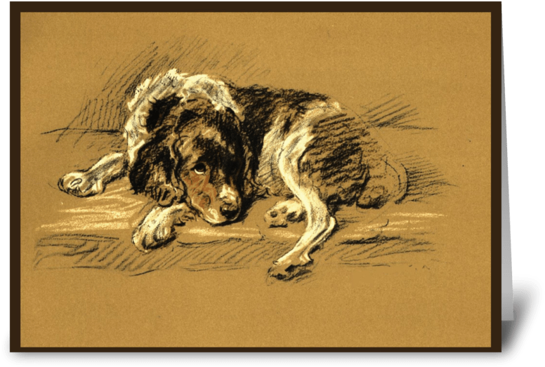 Sad, Dog Sympathy Greeting Card - Pet Sympathy Sad Dog Beautiful Illustration, Comfort (848x698), Png Download