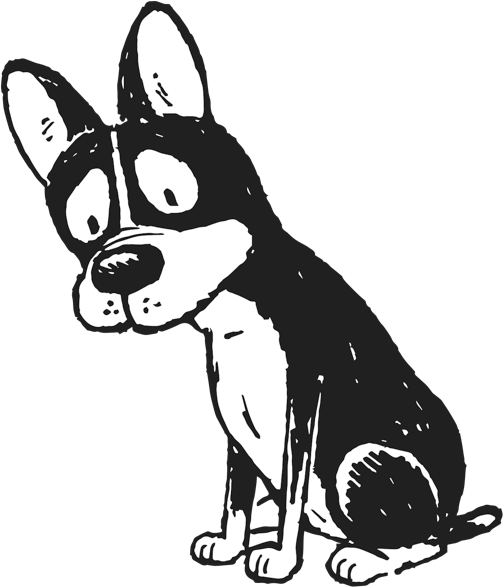 Hot Damn We're Fresh Out - Boston Terrier (504x588), Png Download