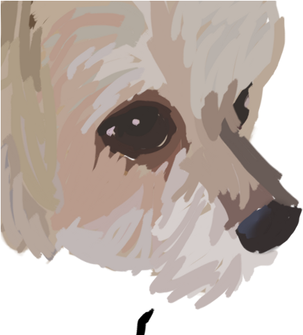 Pug (480x480), Png Download