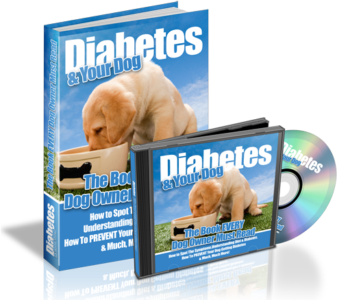 Diabetes Your Dog - Natiruts Reggae Power (sambaton) (500x452), Png Download