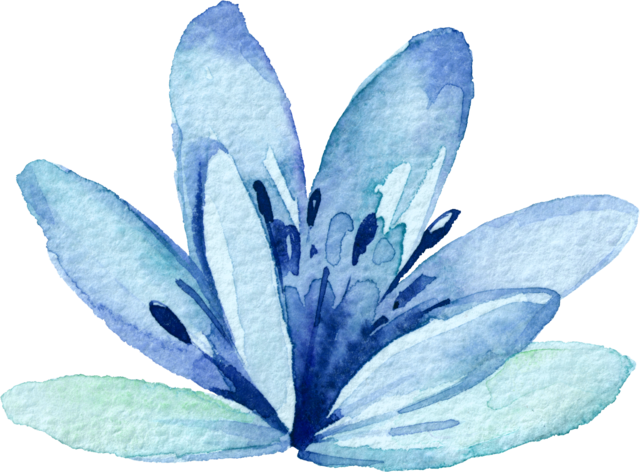 Report Abuse - Printable Watercolor Botanical (640x472), Png Download