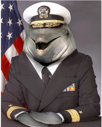 Fishlick 425pxsq Zpsyd7otagj - Admiral Dolphin (425x425), Png Download
