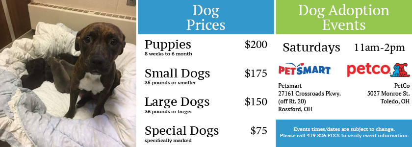 An Animal Shelter, So They Can Observe The Sad Results - Dog (840x300), Png Download