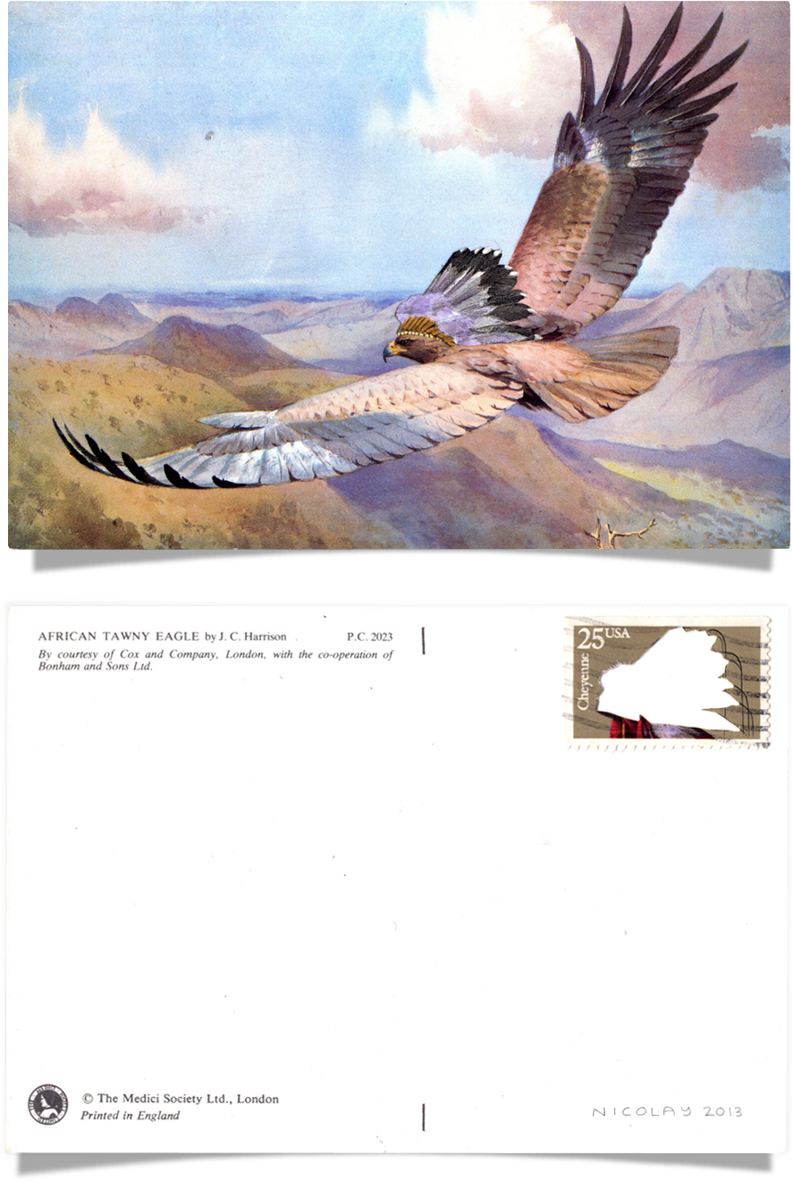 Place Postage Here, Series Of Hand Cut Postage Stamp - Hawk (1000x1500), Png Download