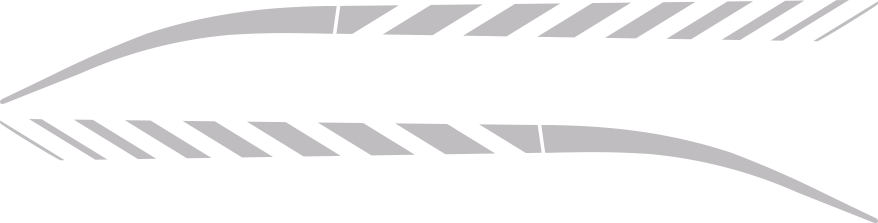 Dodge Avenger Rear Quarter Stinger Stripes - Dodge Avenger Stinger Stripes (878x223), Png Download