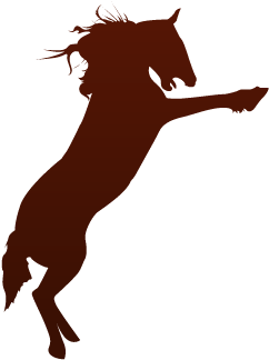 Birthday Parties At The Ranch - Horse (400x400), Png Download