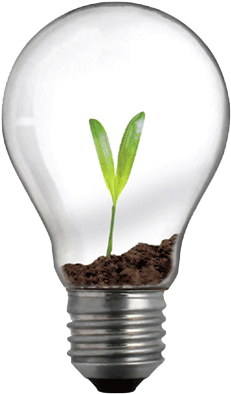 Social Innovation, A Binding Concept - Light Bulb (500x400), Png Download