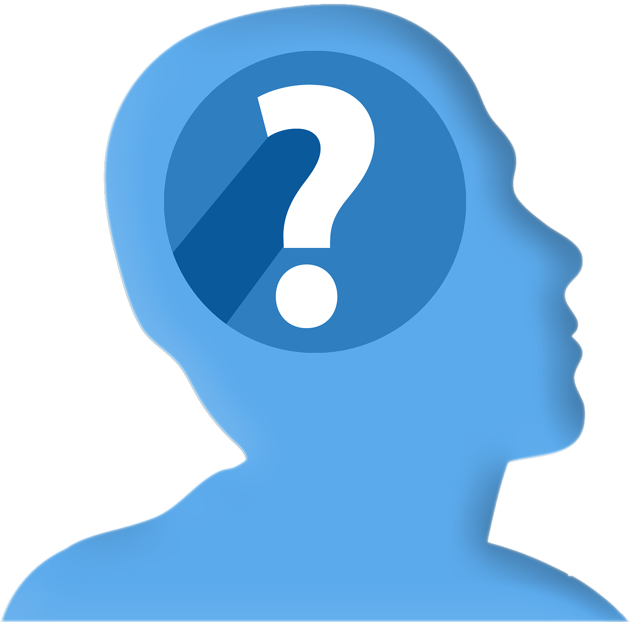 Question, Icon - You Icon (1280x1257), Png Download