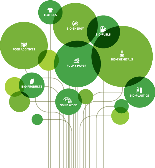 Innovation-tree - Innovation Forest (526x572), Png Download