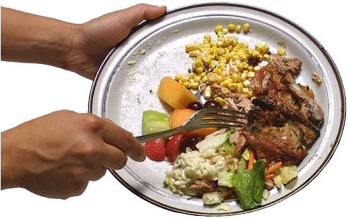 Plato Comida “ - Wasted Food (500x341), Png Download