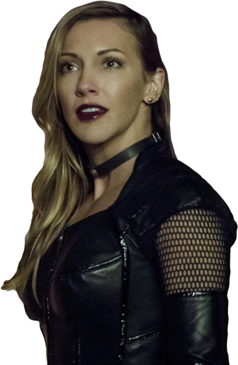 Transparent Arrows - Oliver And Black Siren (500x730), Png Download