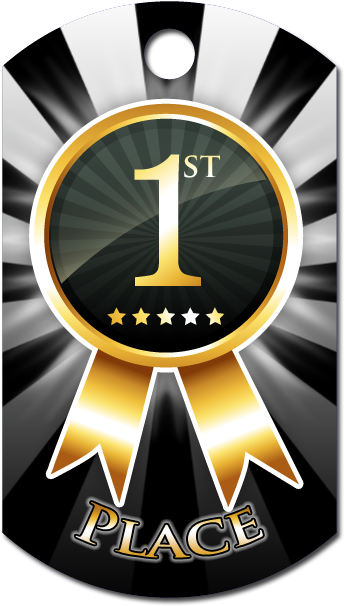 1st Place Student Award - Award (390x645), Png Download