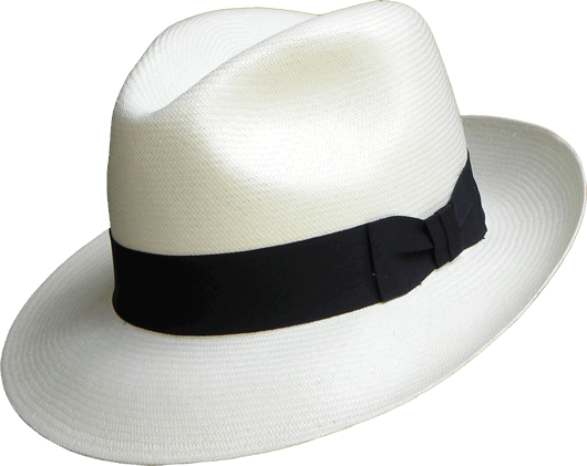 Fedora (530x421), Png Download