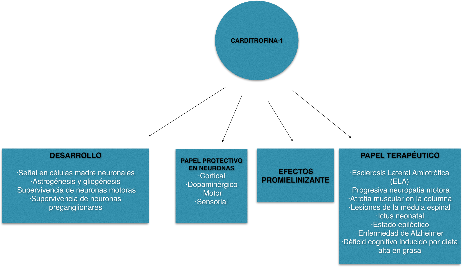 Open - Biology (2000x1200), Png Download