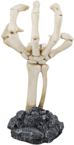 Skeleton Hand Display (600x480), Png Download