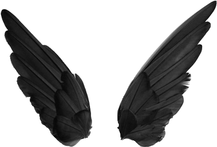 Image Result For Tumblr Transparents Black And White - Png Transparent Wings (500x332), Png Download