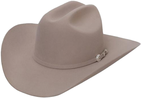 Shasta 10x - Silver Belly Cowboy Hat (500x355), Png Download