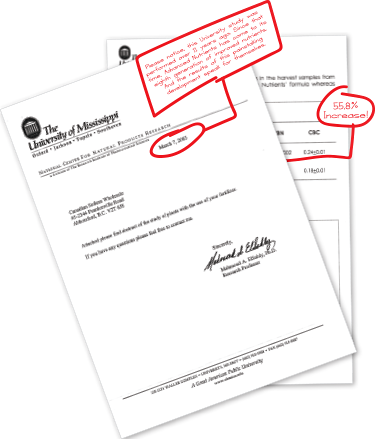 508e73f51b291518715189 Heavy Metal Papers - Heavy Metal Papers (375x439), Png Download