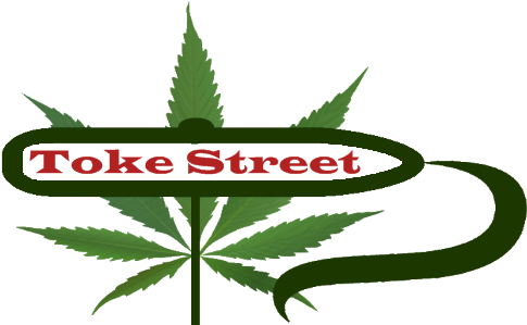 Tokestreet - Cannaleaf-1 Shower Curtain (500x300), Png Download