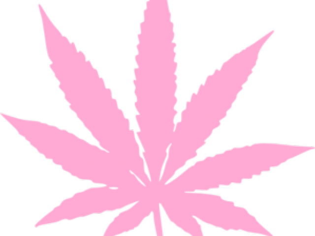 Image Library Stock Weed Free On Dumielauxepices Net - Marijuana Leaf (640x480), Png Download