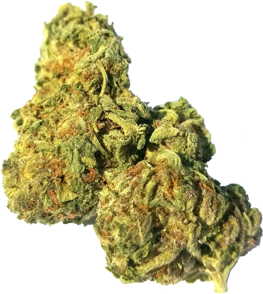 Master Kush Ultra By Bud Right - Kush (1508x1508), Png Download