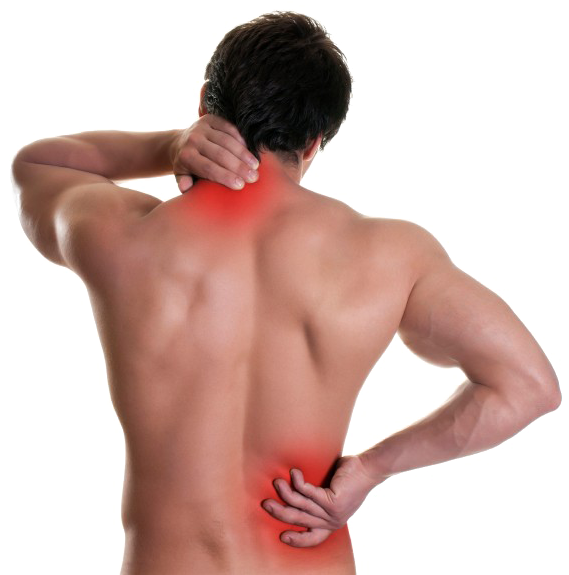 Back Pain Png Free Download - Zewa Spabuddy Sport Tens Pain Therapy (800x574), Png Download