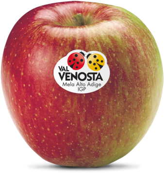 Braeburn Braeburn - Manzana Braeburn (400x400), Png Download