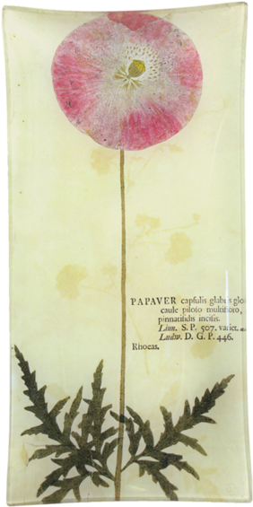 Poster (600x600), Png Download