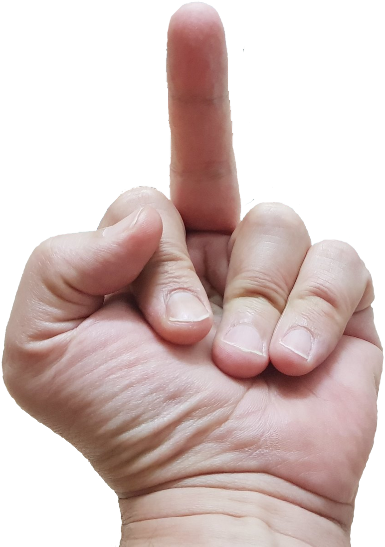 15 Replies 13 Retweets 54 Likes - Peineta Con La Mano (989x1200), Png Download