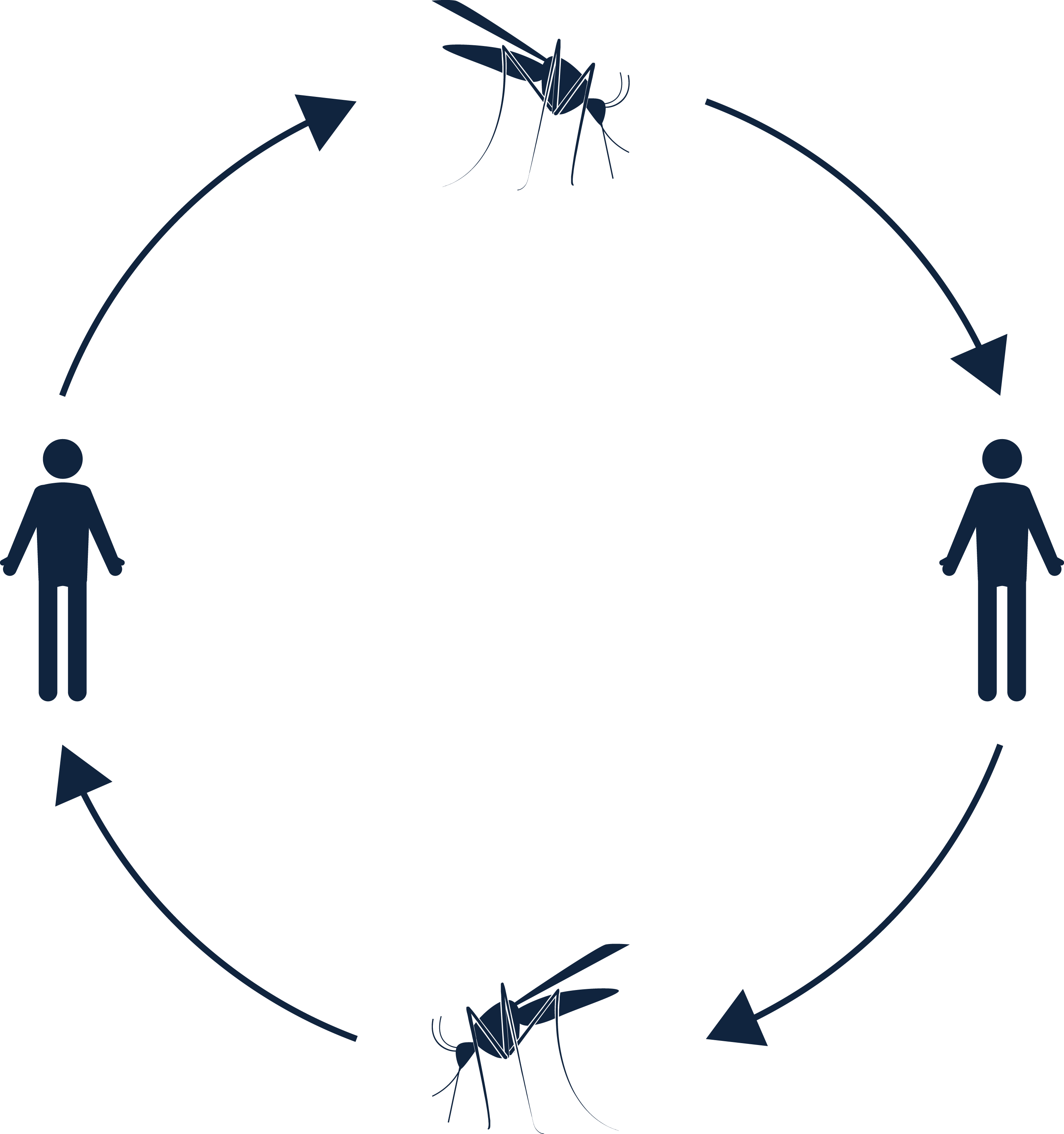 06 Pm 821 Clinical Manifestation - Silhouette (2844x3032), Png Download