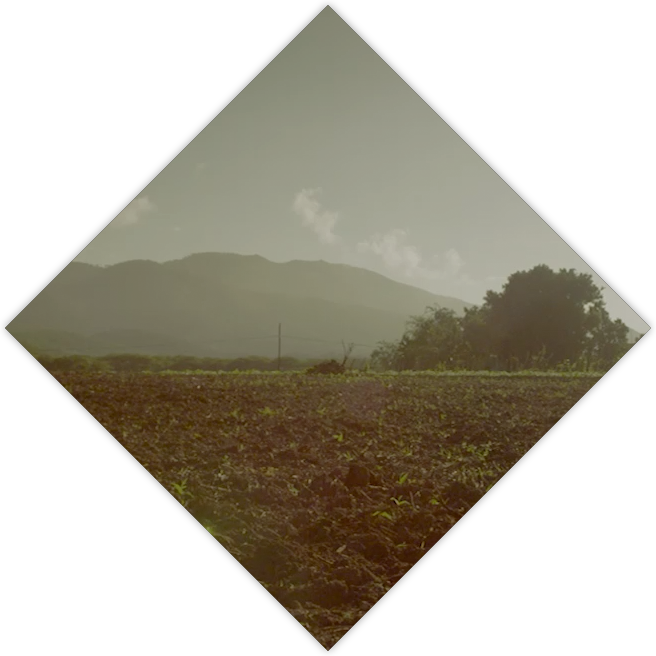 The Climate - Hill (656x656), Png Download