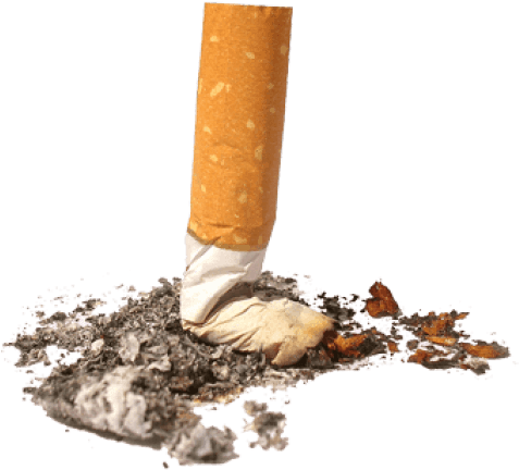 Lit Cigar Png Cigarette Png Stop Smoking - Cigarette Butts Litter (342x363), Png Download