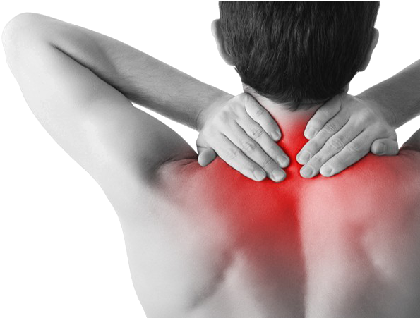 Pain In The Neck Png Hd - Fibromyalgia: Perspectives And Advances (650x450), Png Download