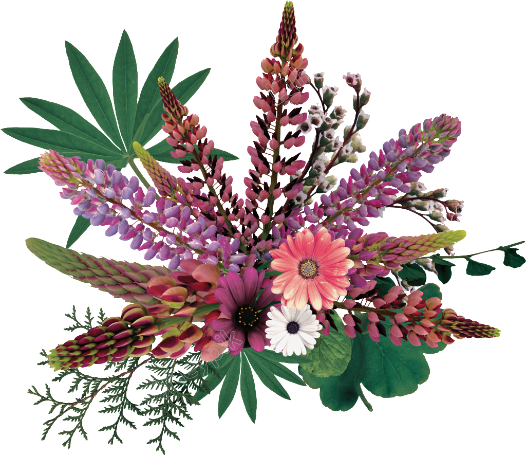 Clip Library Library Painted Vivid Png Free Download - Portable Network Graphics (1024x885), Png Download