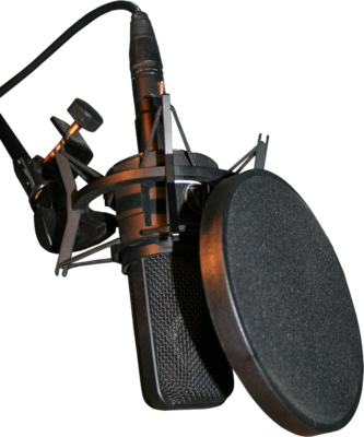 Studio Microphone, High Res - Studio Microphone Transparent Background (333x400), Png Download