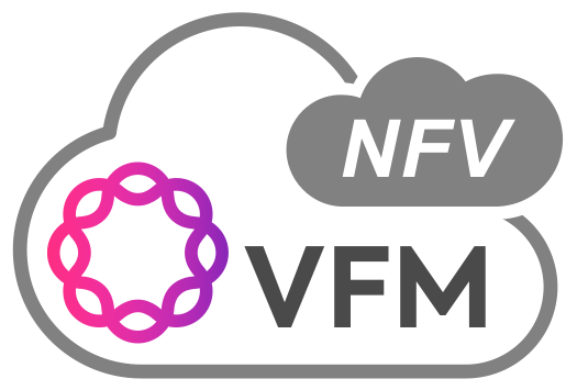Ribbon Virtual Network Function Manager - Image May Contain: Text (541x385), Png Download