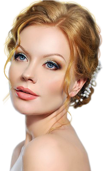 .net (388x600), Png Download