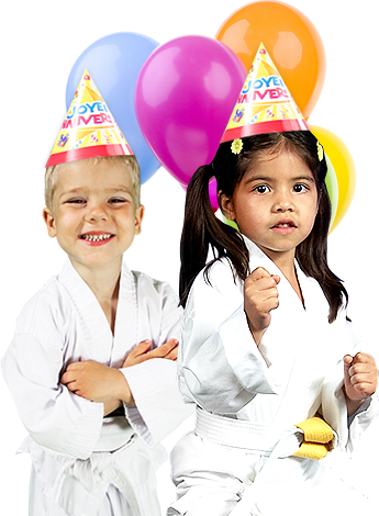 The Most Exciting Birthday Party Ever - Martial Arts Birthday Party (345x470), Png Download