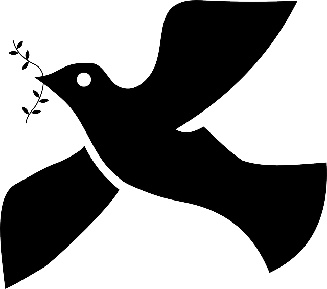 Symbol, Silhouette, Dove, Religion, Sprig, Faith, With - Paloma De La Paz Negra (640x565), Png Download
