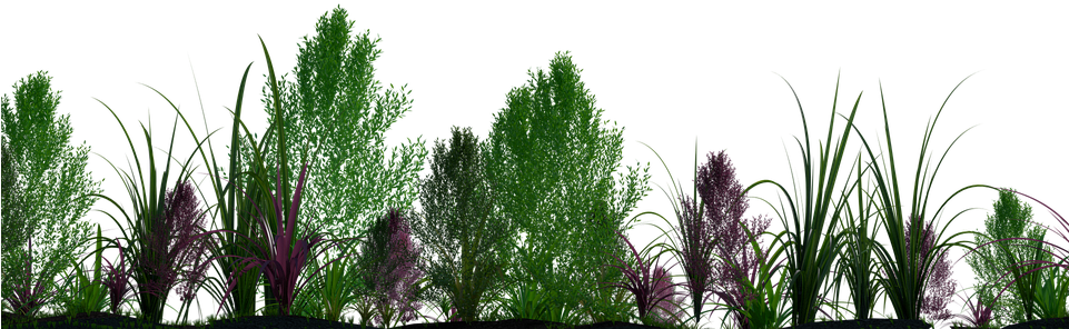 Plants Png - Arboles Y Plantas Png (960x540), Png Download