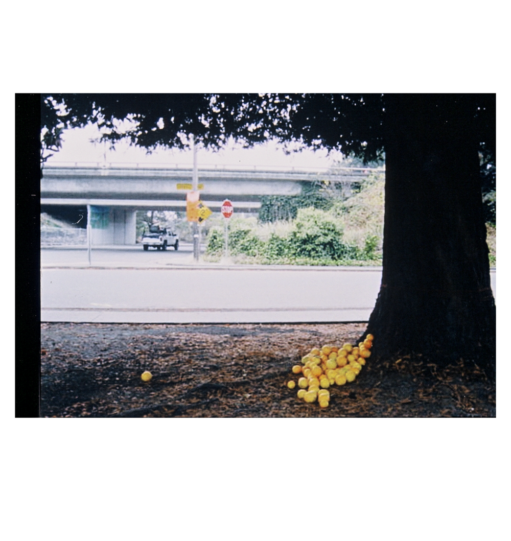 Oranges - Fruit (1000x1059), Png Download