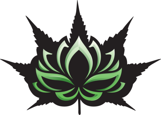 Nirvana Center Lotus Logoscott Lott2018 09 21t18 - Nirvana Center Logo (540x385), Png Download