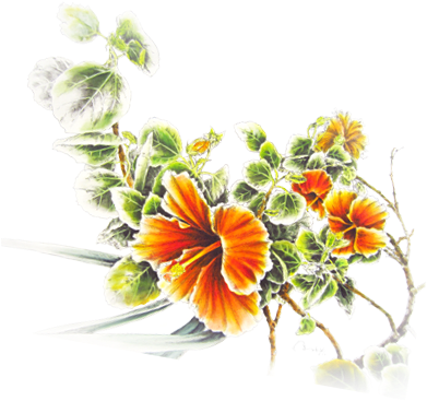 Ink Drawings, Oil Painting And Watercolor On Canvas - Indian Blanket (400x400), Png Download
