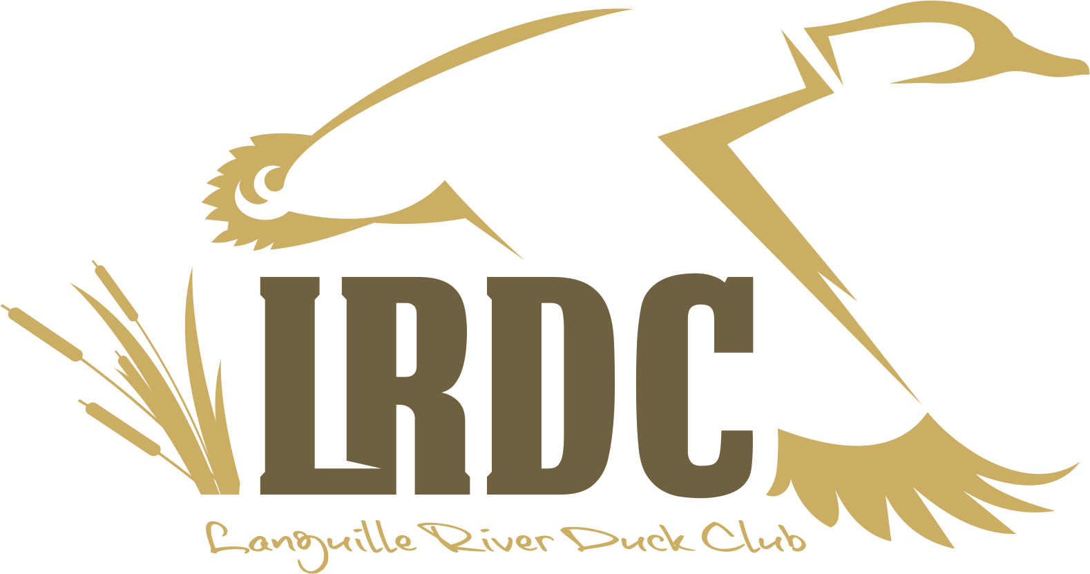 Png Logo Download - Logo (1578x831), Png Download