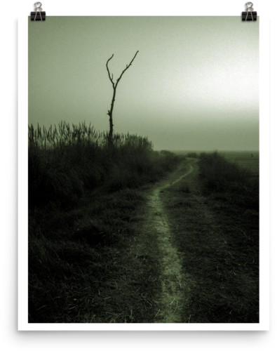 Still Life (600x600), Png Download